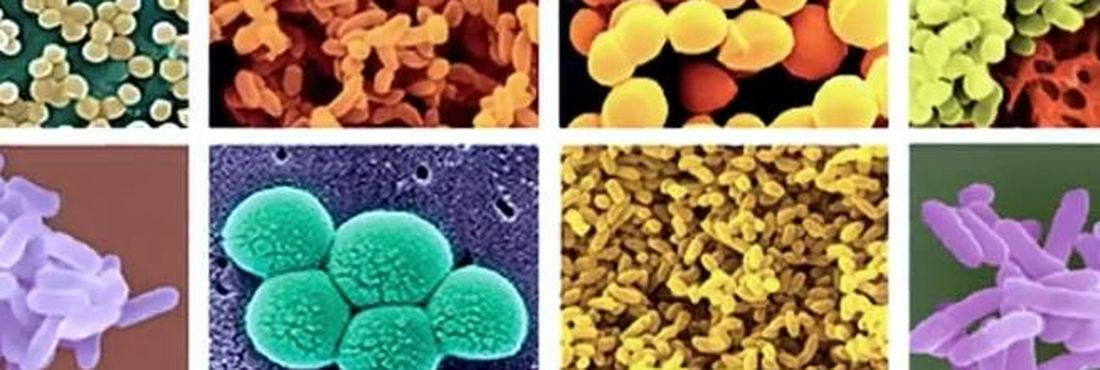 Reprodução assexuada A clonagem já existe na natureza há muito tempo, mas a reprodução de animais é uma questão polêmica. Entenda os principais motivos que geram dúvidas e discussões a respeito do tema.