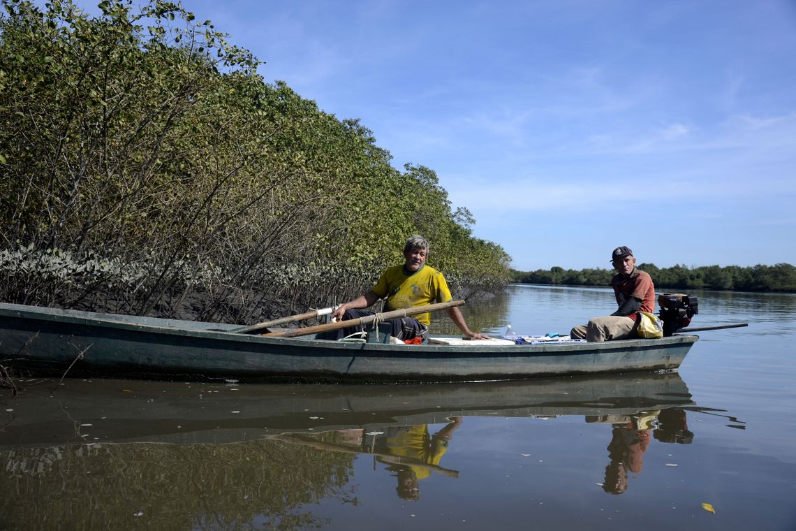 Tânia Rêgo/Agência Brasil Manguezais da Área de Proteção Ambiental (APA) de Guapi-Mirim e Estação Ecológica da Guanabara, região hidrográfica da Baía de Guanabara, Guapimirim, região metropolitana do Rio de Janeiro.