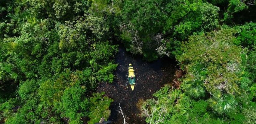 Floresta Encantada, em Alter do Chão (PA)