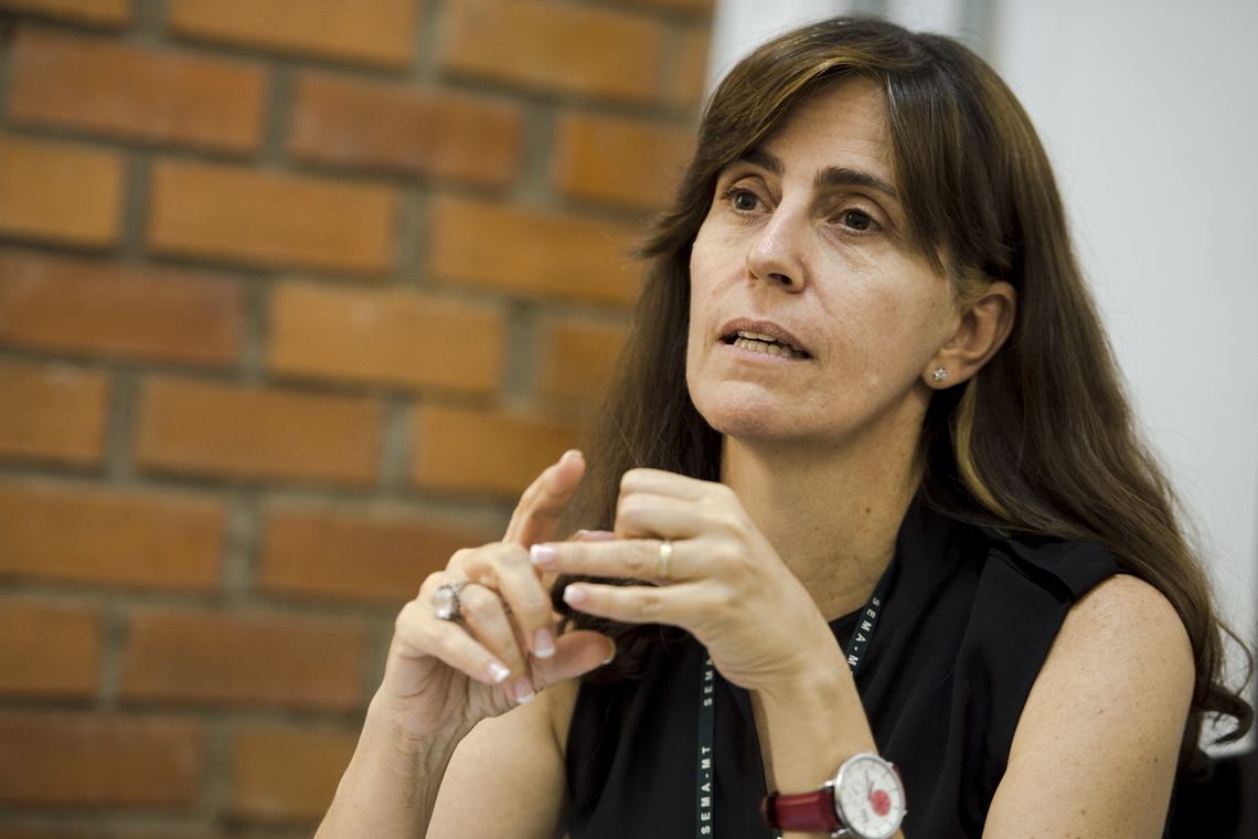 Marcelo Camargo/Agência Brasil Cuiabá - A secretária adjunta de gestão ambiental do governo do Mato Grosso, Elaine Corsini (Marcelo Camargo/Agência Brasil)