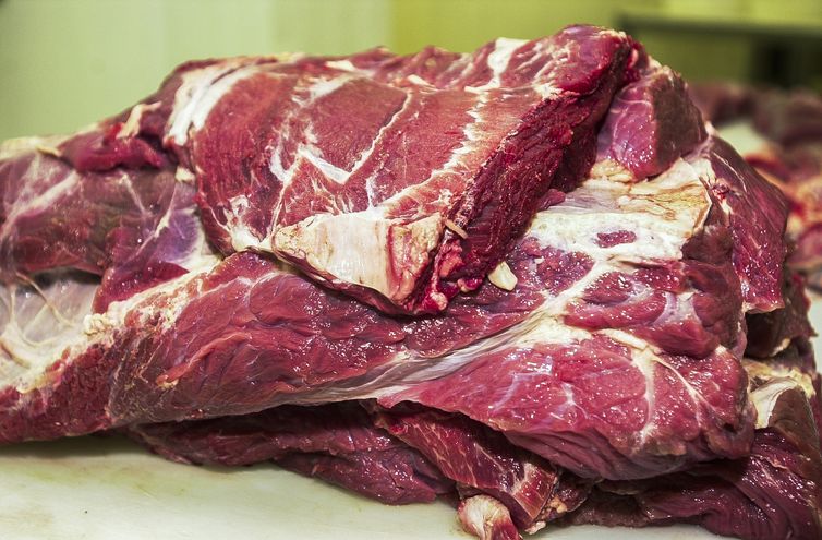 Carne fresca, Açougues, Frigoríficos, alimento