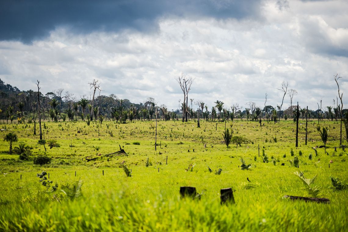 Colniza, MT, Brasil: Área degradada no município de Colniza, noroeste do Mato Grosso. (Foto: Marcelo Camargo/Agência Brasil)