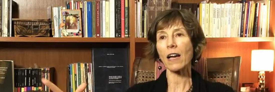 Maria Rita Kehl Maria Rita Kehl diz que há muita especulação nas terras brasileiras.