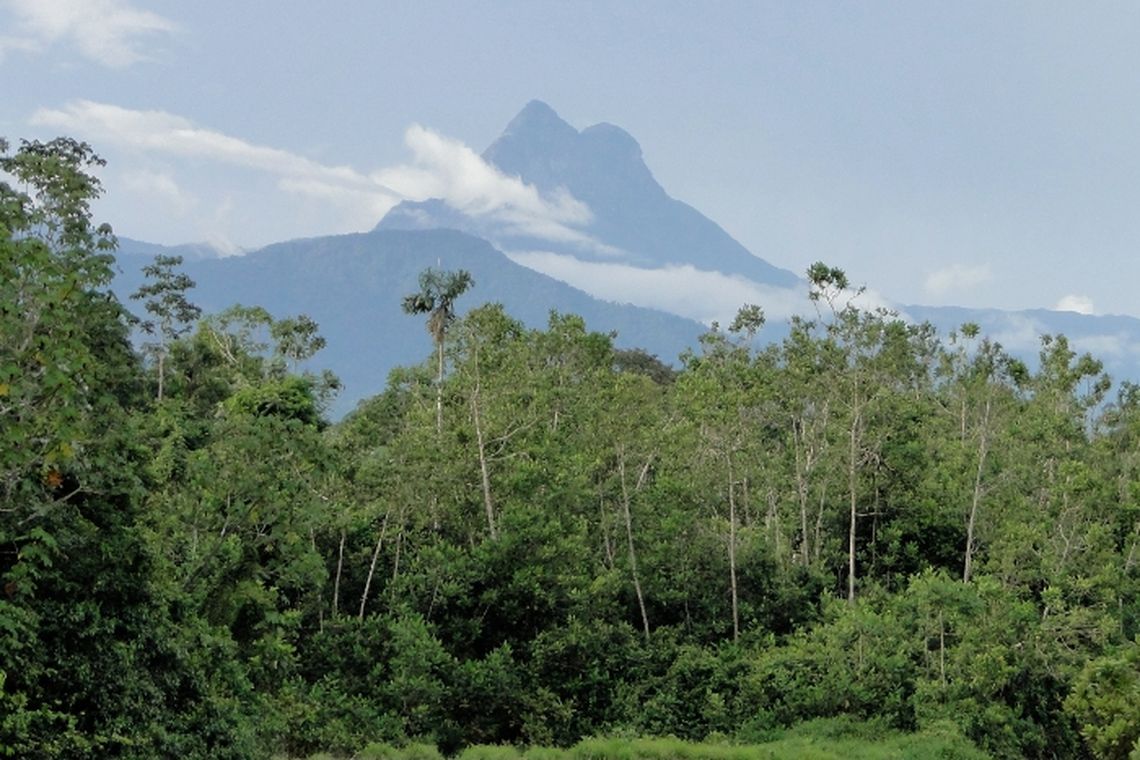 pico da Neblina