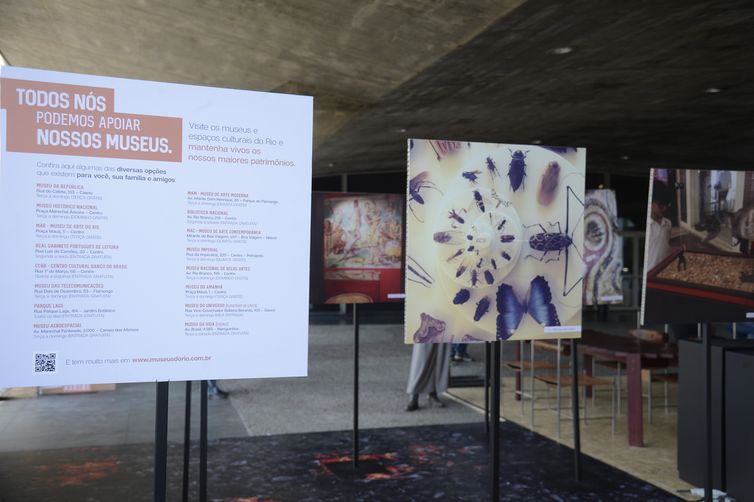 Museu Nacional é homenageado em Semana de Design no Museu de Arte Moderna do Rio de Janeiro.