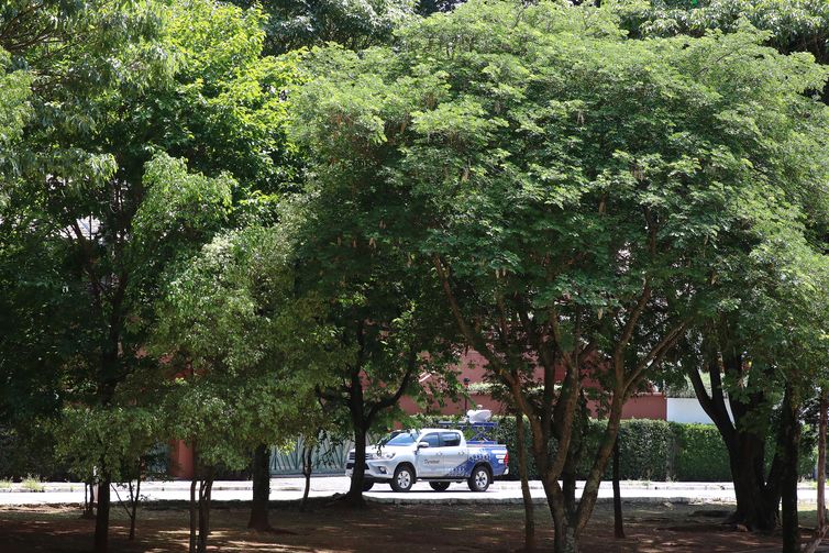 A Prefeitura de São Paulo, por meio da Divisão de Arborização Urbana (DAU) da Secretaria do Verde e do Meio Ambiente , inaugurou  um projeto-piloto de escaneamento das árvores.