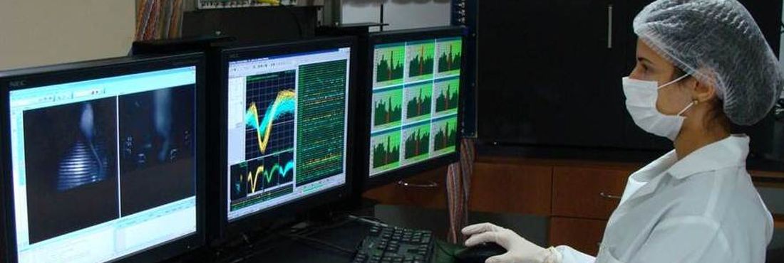 co autora ratos conexão cérebros cientista co autora ratos conexão cérebros