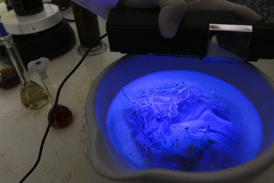 Marcello Casal JrAgência Brasil O Instituto de Química da UNB, em parceria com a Embrapa, desenvolveu uma nanotecnologia capaz de incrementar a produtividade das plantas, aumentar o valor nutritivo dos alimentos, a substância Krill A32.