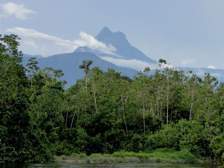 Pico da Neblina (Divulgação/ICMBio)               