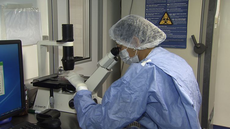Reprodução/TV Brasil/Agência Brasil Pesquisadores da UFRJ conseguiram fazer o sequenciamento do genoma do vírus Zika