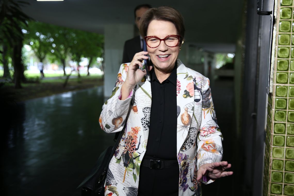 Antonio Cruz/ Agência Brasil A deputada federal e futura ministra da Agricultura no governo de Jair Bolsonaro, Tereza Cristina,dá entrevista na saída de sua residência em Brasília.