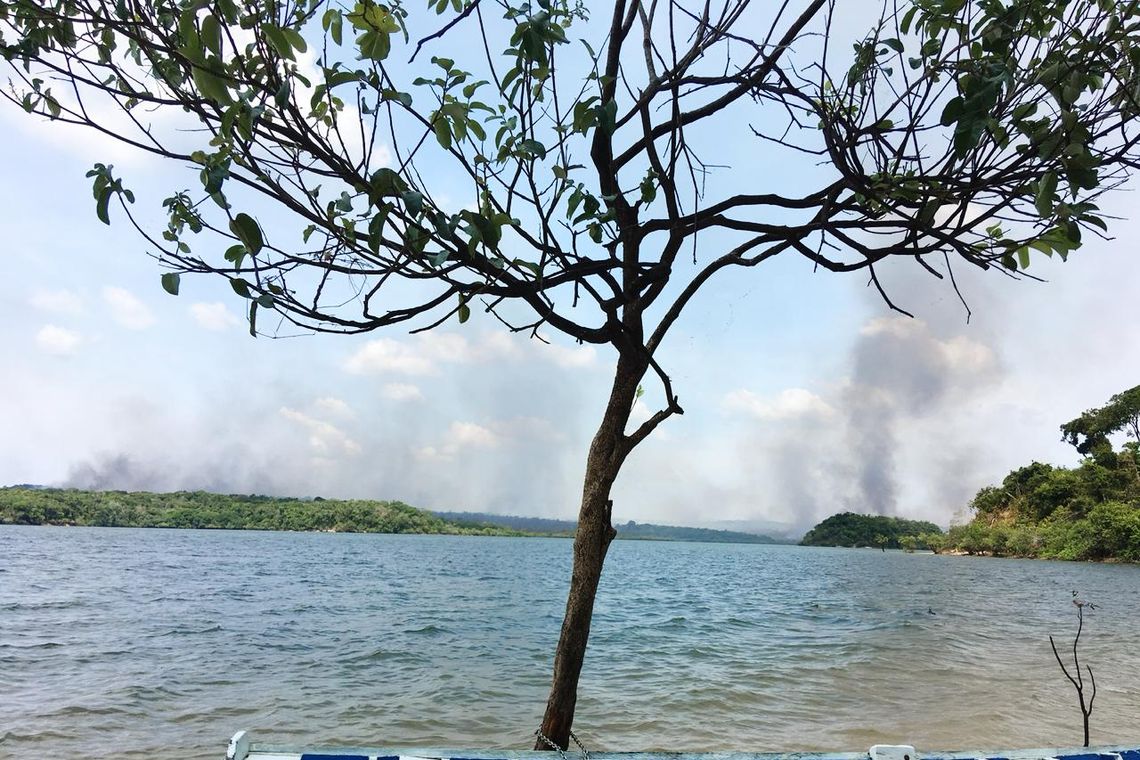IncÃªndio em Alter do ChÃ£o