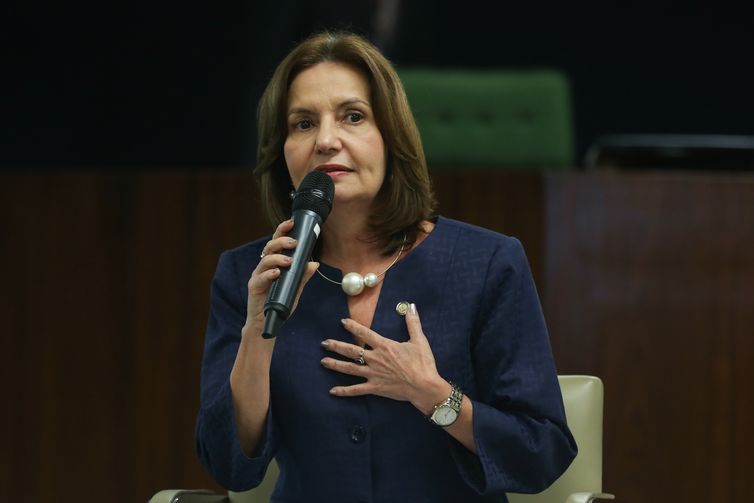 BrasÃ­lia - A delegada Martha Rocha debate os dez anos da Lei Maria da Penha (JosÃ© Cruz/AgÃªncia Brasil)
