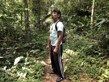 Divulgação TV Brasil O guia Raimundo Vasconcelos acompanhou a equipe da TV Brasil em uma caminhada de 7 quilômetros pela floresta amazônica;