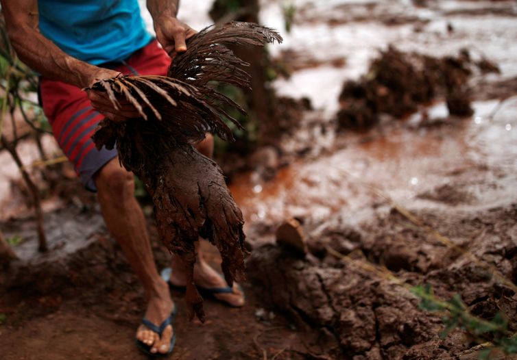 A chicken covered with mud is seen after a dam owned by Brazilian miner Vale SA that burst, in Brumadinho, Brazil January 26, 2019. REUTERS/Adriano Machado