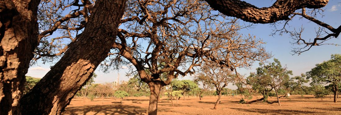 Seca deixa o Distrito Federal em estado de alerta Apesar da ocorrência de chuviscos em áreas isoladas, o período de chuvas está previsto apenas para a segunda quinzena de setembro