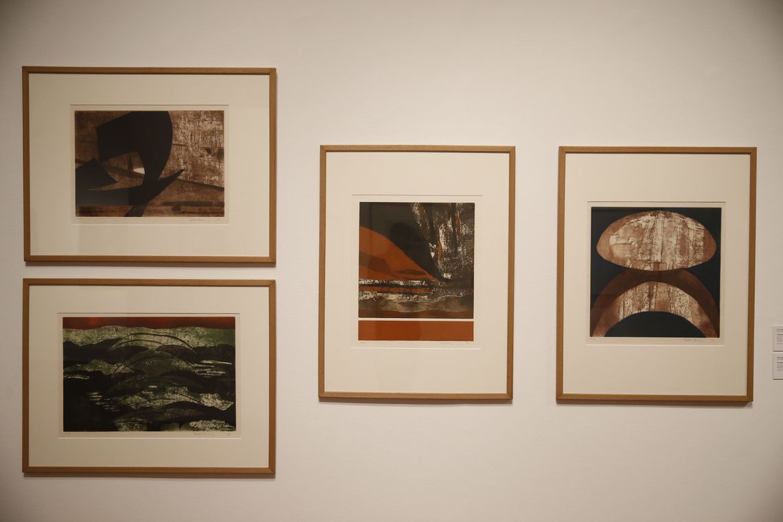 Tomaz Silva/Agência Brasil Rio de Janeiro - Exposição Diálogos Contemporâneos mostra a vivência francesa na formação de artistas brasileiros (Tomaz Silva/Agência Brasil)