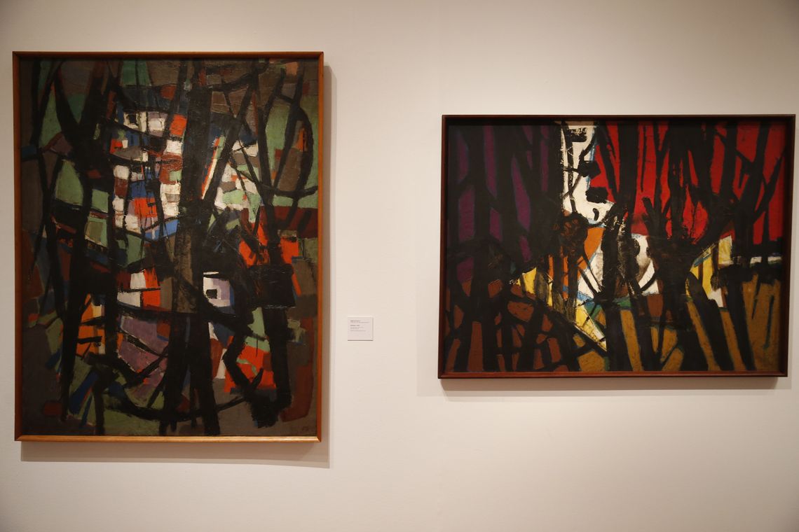 Tomaz Silva/Agência Brasil Rio de Janeiro - Exposição Diálogos Contemporâneos mostra a vivência francesa na formação de artistas brasileiros (Tomaz Silva/Agência Brasil)