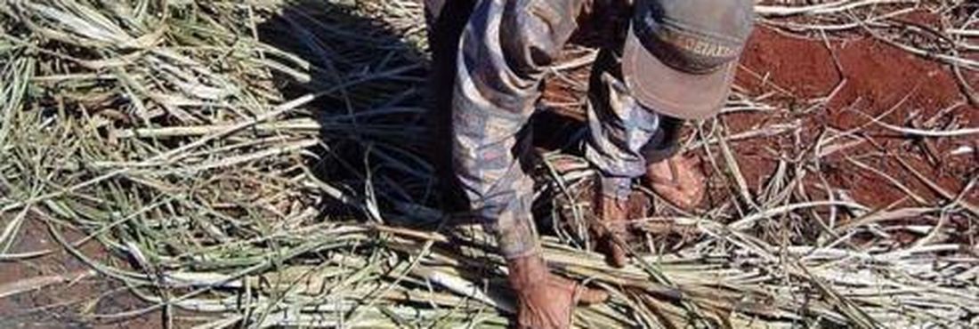 Imagem - Pastoral da Terra: 25 mil pessoas são submetidas ao trabalho escravo Pastoral da Terra: 25 mil pessoas são submetidas ao trabalho escravo