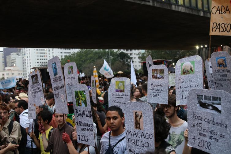 A Avenida Paulista foi o palco da mobilização pelo clima, em São Paulo
