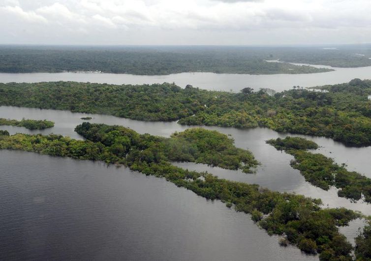 Amazônia