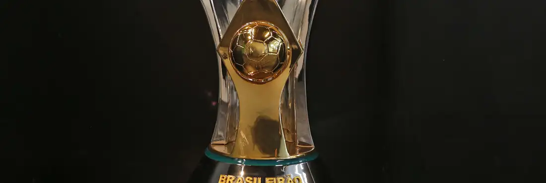 Taça do Campeonato Brasileiro 2015