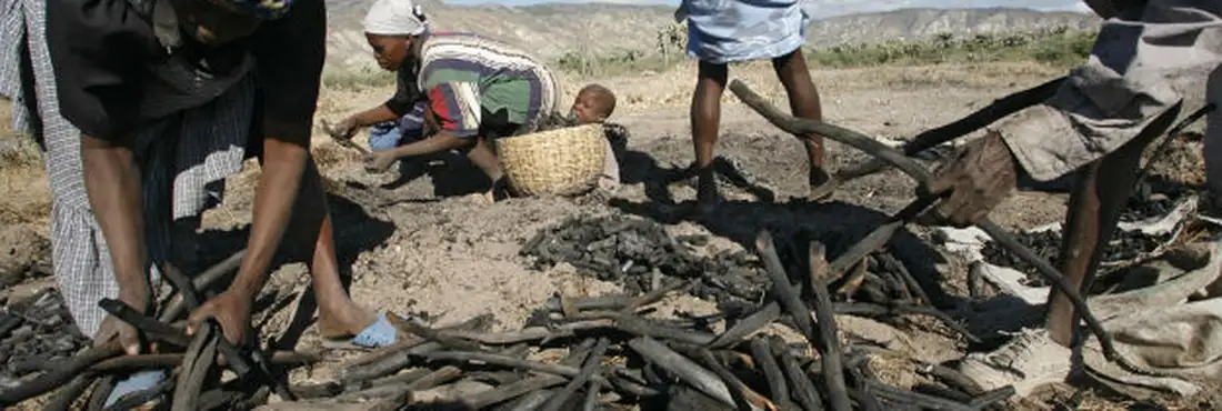 3,6 milhões de haitianos sofrem com insegurança alimentar 3,6 milhões de haitianos sofrem com insegurança alimentar