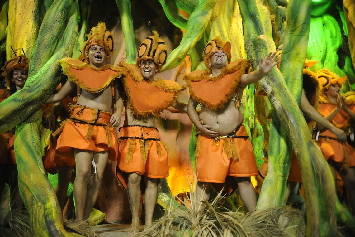 Tania Rego Rio de Janeiro - Escolas de samba do Grupo Especial se apresentam no Sambódromo da Marquês de Sapucaí, no segundo dia de desfiles (Fernando Frazão/Agência Brasil)