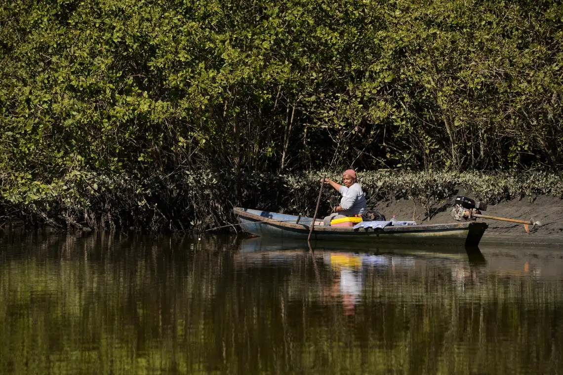 Tânia Rêgo/Agência Brasil Manguezais da Área de Proteção Ambiental (APA) de Guapi-Mirim e Estação Ecológica da Guanabara, região hidrográfica da Baía de Guanabara, Guapimirim, região metropolitana do Rio de Janeiro.