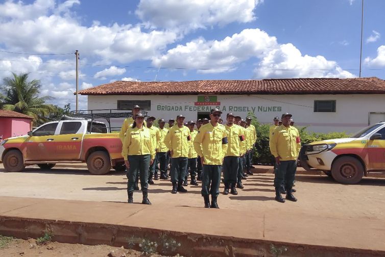 Brigada Federal de prevenção e combate a incêndio florestal