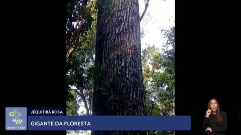 capa do episódio