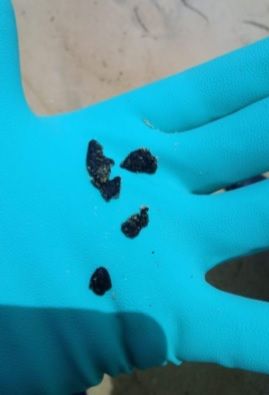 Reprodução Ibama/Direitos Reservados Fragmentos de manchas de óleo são encontrados no Rio de Janeiro