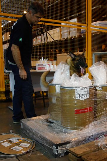 Cão farejador durante apreensão de carga com 100kg de heroína e 50kg ácido pícrico, utilizado para fabricação de explosivos, no Terminal de Cargas do Aeroporto Internacional Tom Jobim/Galeão/Fernando Frazão/Agência Brasil Cão farejador durante apreensão de carga com 100kg de heroína e 50kg ácido pícrico, utilizado para fabricação de explosivos, no Terminal de Cargas do Aeroporto Internacional Tom Jobim/Galeão