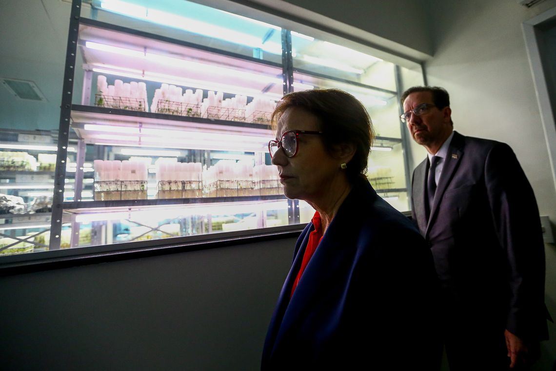 Marcelo Camargo/Agência Brasil A ministra da Agricultura, Pecuária e Abastecimento, Tereza Cristina, visita a Embrapa Recursos Genéticos e Biotecnologia, em Brasília.