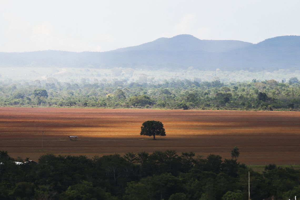 Alto ParaÃso de Goiás (GO) - Ãrea de cerrado desmatada para plantio no municÃpio de Alto ParaÃso (Marcelo Camargo/Agência Brasil)