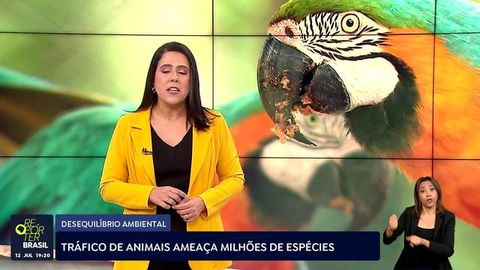 capa do episódio