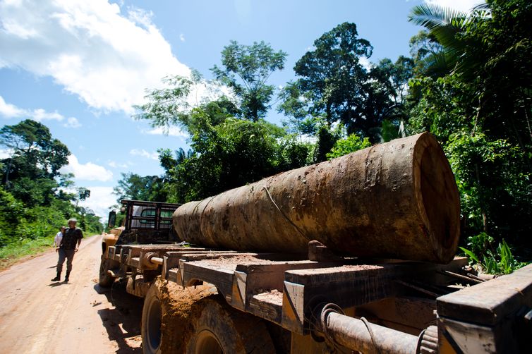 Caminhão com tora de madeira retirada perto da Terra IndÃgena Kawahiva do Rio Pardo é parado por agentes da Funai (Foto: Marcelo Camargo/Agência Brasil)