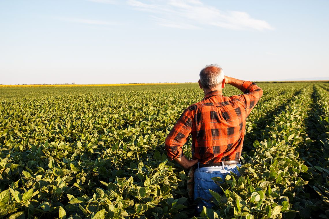 Produtor rural