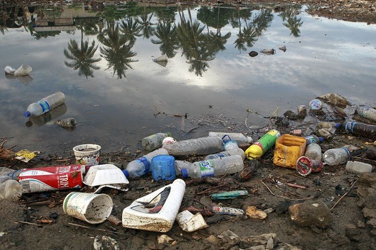 A poluio provocada pelos plsticos  uma tragdia ambiental global que contamina o solo e os mares