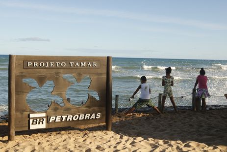  Sede do Projeto Tamar, que comemora marca de 40 milhões de tartarugas marinhas protegidas e devolvidas ao oceano. 