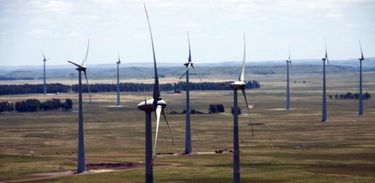 Investimentos na matriz eólica contribuem para a geração de energia limpa