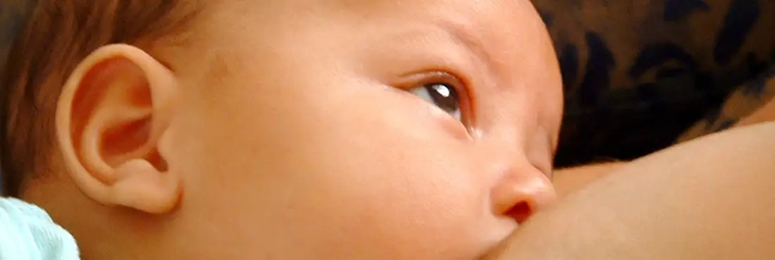 A OMS alerta que o aleitamento materno é a melhor fonte de nutrição para bebês e crianças pequenas A OMS alerta que o aleitamento materno é a melhor fonte de nutrição para bebês e crianças pequenas e uma das formas mais eficazes de garantir a saúde e a sobrevivência da criança.