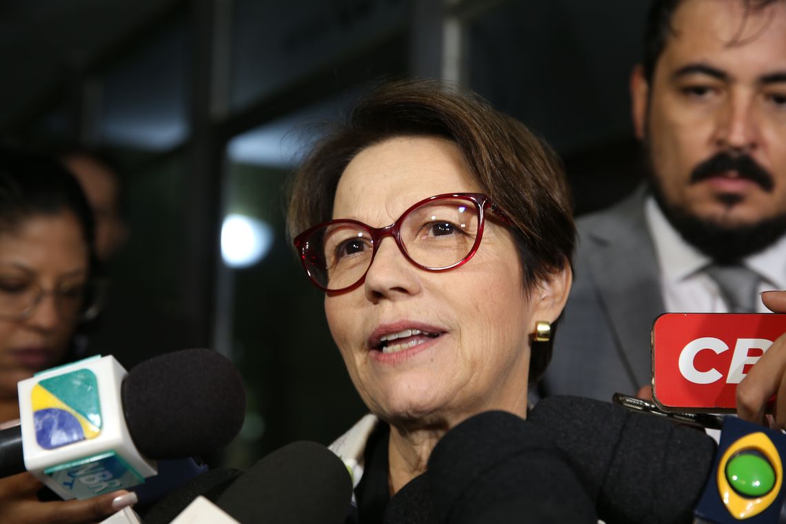 Antonio Cruz/ Agência Brasil A deputada federal e futura ministra da Agricultura no governo de Jair Bolsonaro, Tereza Cristina,dá entrevista na saída de sua residência em Brasília.