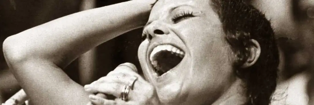 Elis Regina - destaque Elis Regina