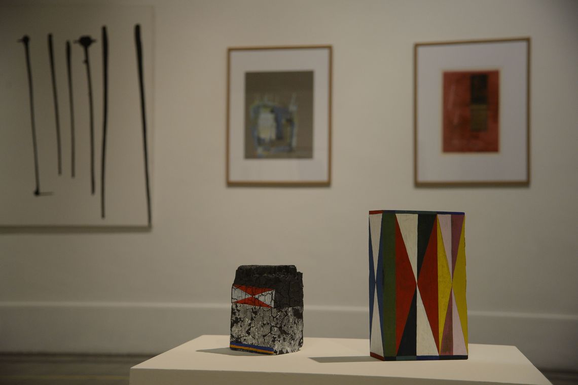 Fernando Frazão/Agência Brasil Rio de Janeiro - Obras da Exposição: O Espaço da Arte, inaugurada pela comemoração dos 81 anos do Museu Nacional de Belas Artes (Fernando Frazão/Agência Brasil)