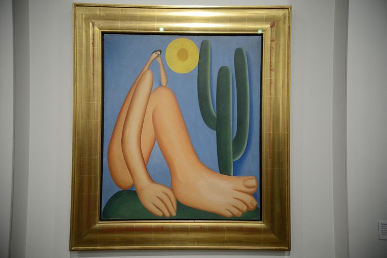 Rio de Janeiro - Exposição "A Cor do Brasil" no Museu de Arte do Rio, na Praça Mauá, zona portuária da capital, mostra obras-primas desde o período colonial até o século XXI (Tomaz Silva/Agência Brasil)