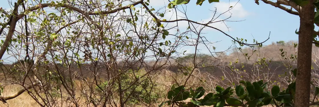 Seca Cinco reservatórios de água do estado já estão em estado crítico, com menos de 5% do volume total