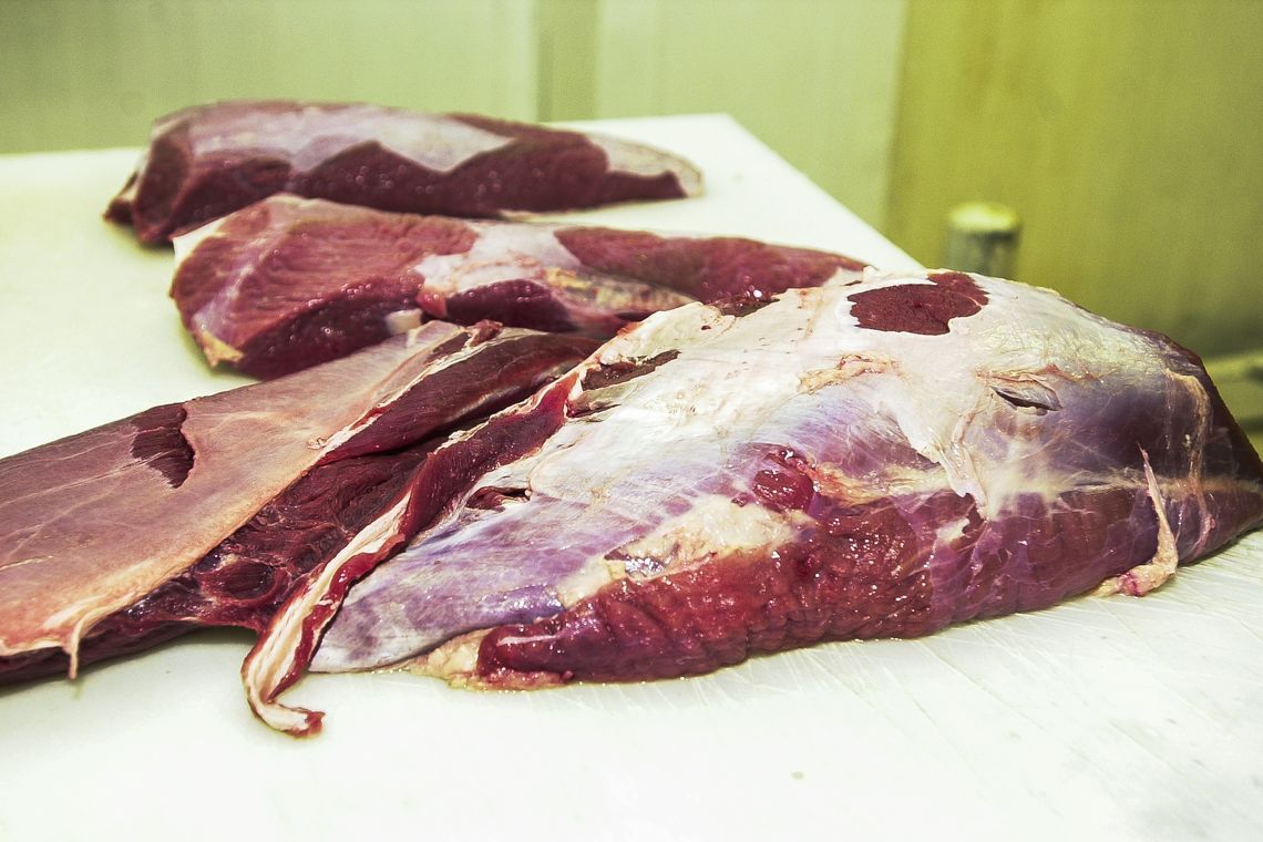 Carne fresca,Açougues, Frigoríficos, alimento