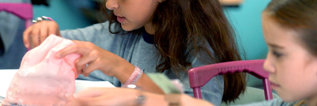 Saeb - Prova Brasil Estudantes da educação básica fazem exame do sistema nacional de avaliação