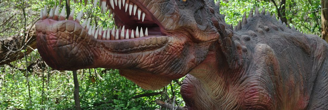 Dinossauro Dinossauro